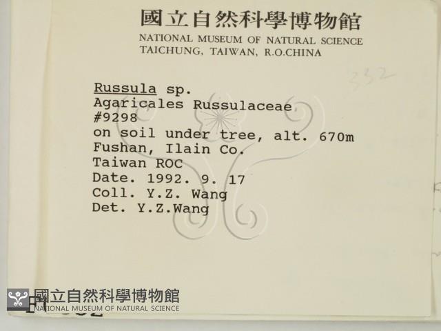 紅菇屬藏品圖，第2張