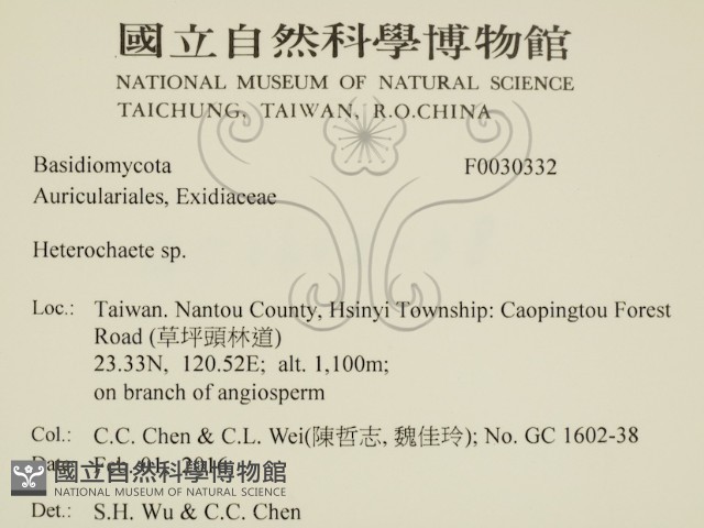 刺皮菌屬藏品圖，第2張
