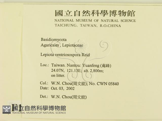 登錄號:F0016332藏品圖，第2張