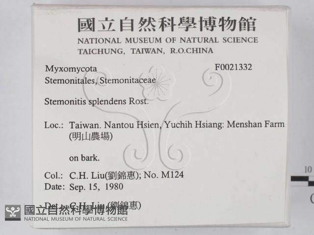 登錄號:F0021332藏品圖，第2張
