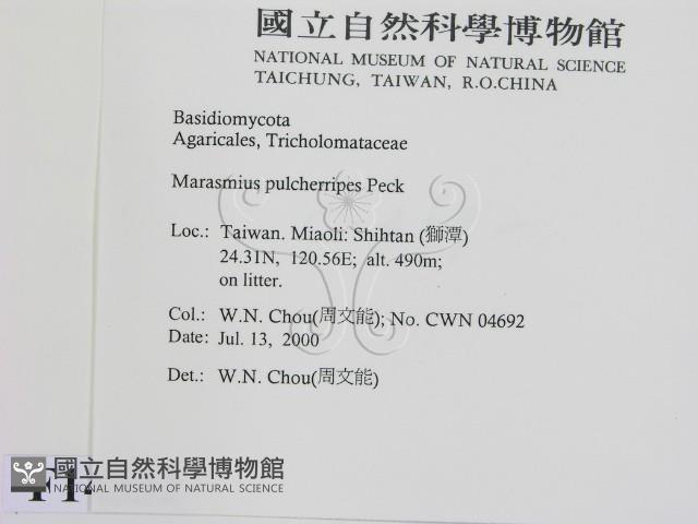 登錄號:F0014332藏品圖，第2張