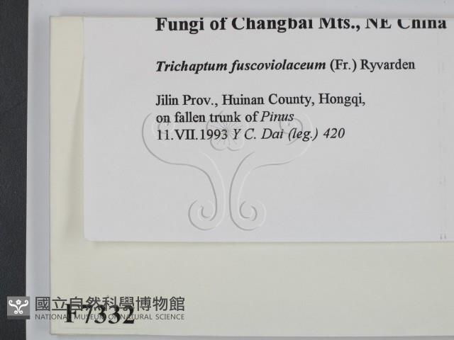 登錄號:F0007332藏品圖，第2張