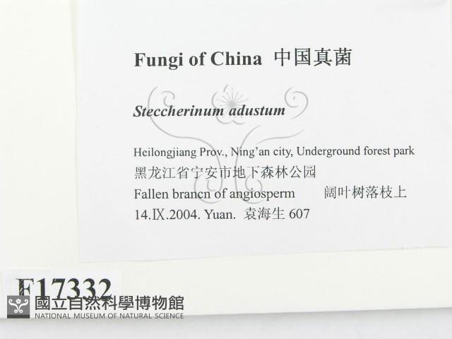 登錄號:F0017332藏品圖，第2張