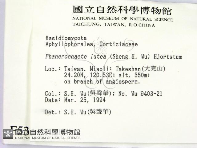 登錄號:F0005332藏品圖，第2張