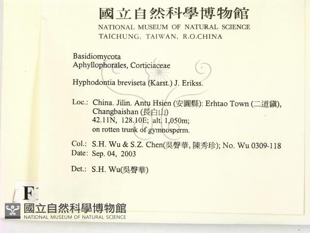 登錄號:F0015332藏品圖，第2張