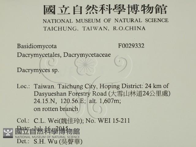 花耳屬藏品圖，第2張