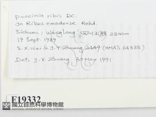 登錄號:F0019332藏品圖，第2張