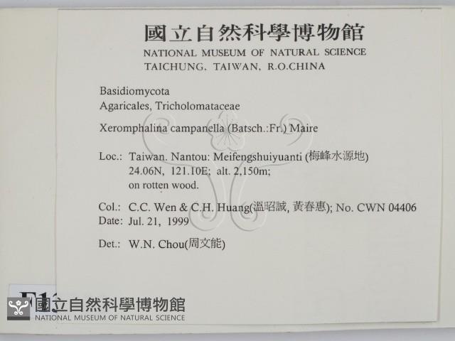 登錄號:F0013332藏品圖，第2張
