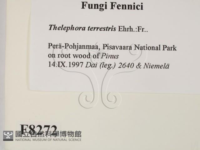 登錄號:F0008272藏品圖，第2張