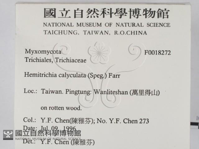 登錄號:F0018272藏品圖，第2張