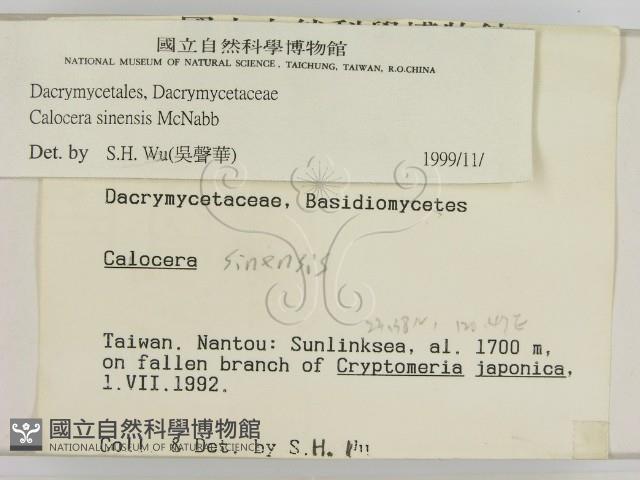 登錄號:F0000272藏品圖，第2張