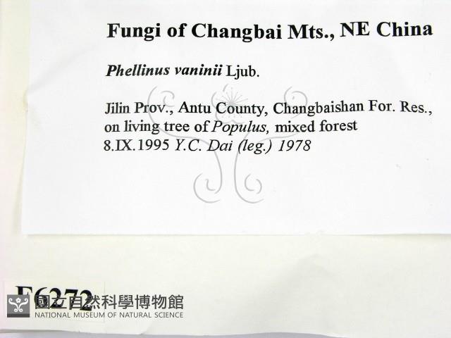 登錄號:F0006272藏品圖，第2張