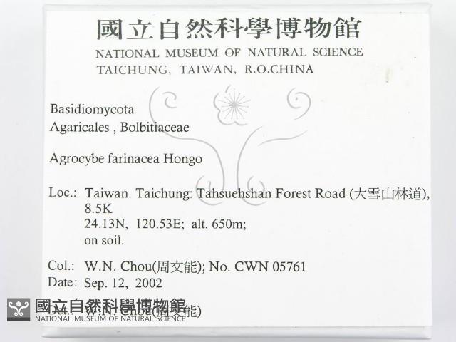 登錄號:F0016272藏品圖，第2張