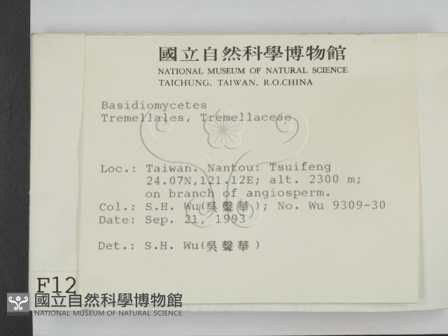 登錄號:F0001272藏品圖，第2張