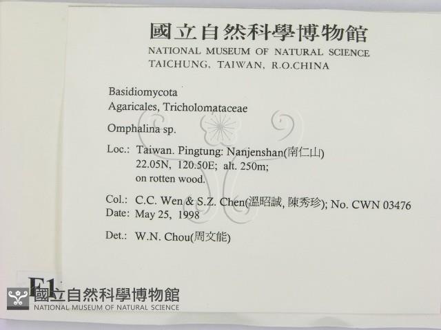 登錄號:F0011272藏品圖，第2張