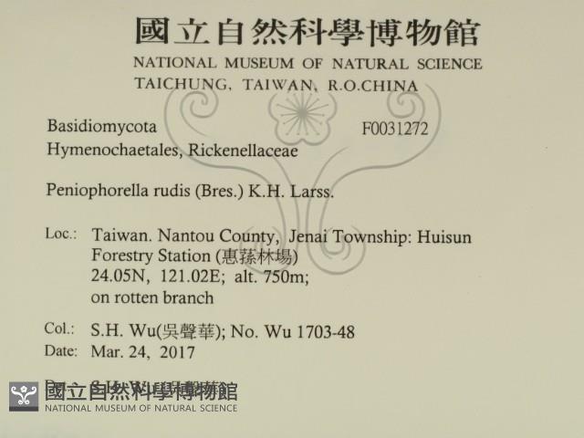 登錄號:F0031272藏品圖，第2張