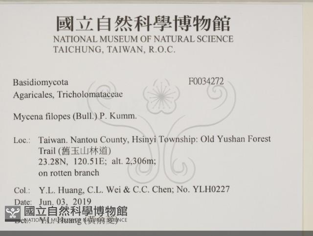 登錄號:F0034272藏品圖，第2張