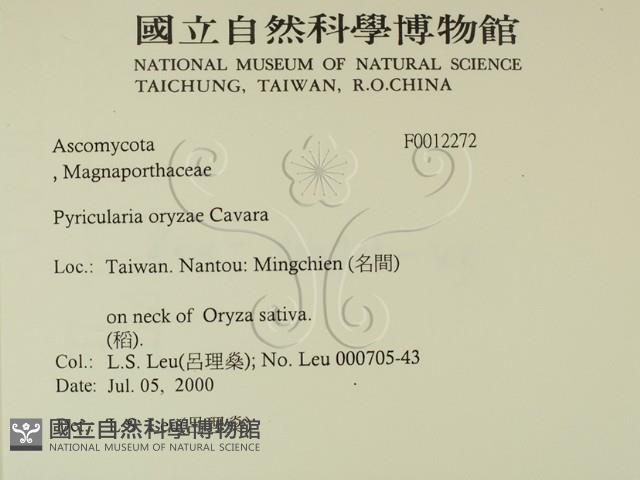 登錄號:F0012272藏品圖，第2張