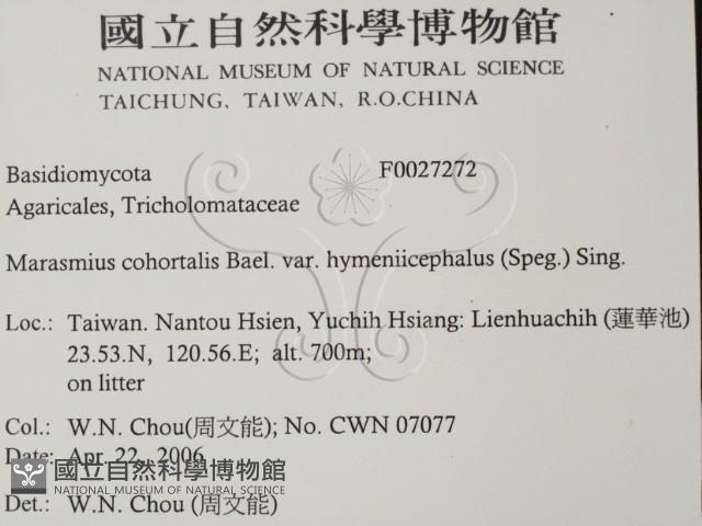 登錄號:F0027272藏品圖，第2張