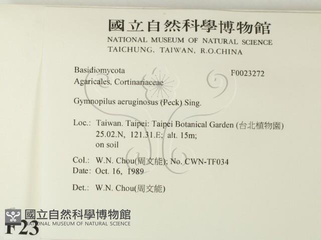 登錄號:F0023272藏品圖，第2張