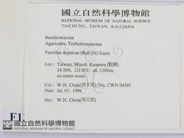 登錄號:F0013272藏品圖，第2張