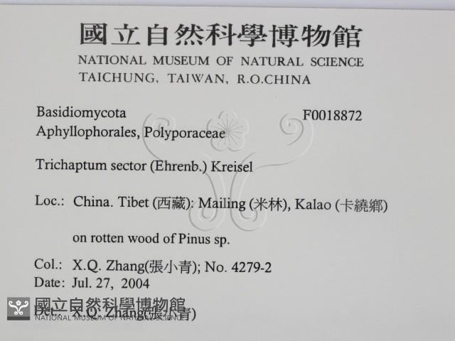 登錄號:F0018872藏品圖，第2張