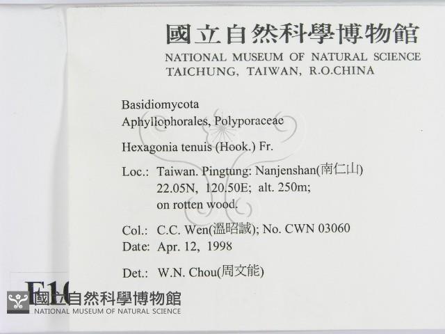 登錄號:F0010872藏品圖，第2張