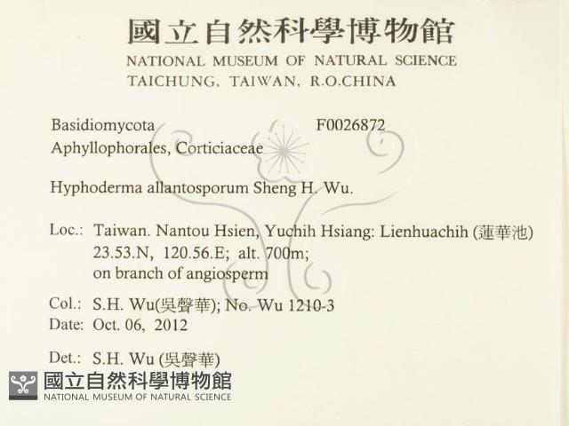 登錄號:F0026872藏品圖，第2張