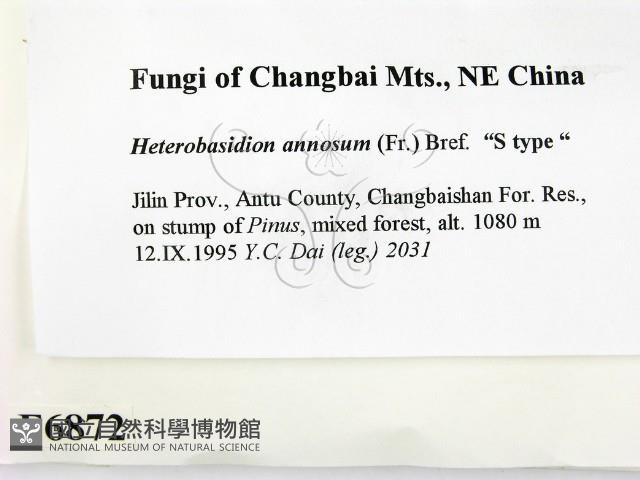 登錄號:F0006872藏品圖，第2張