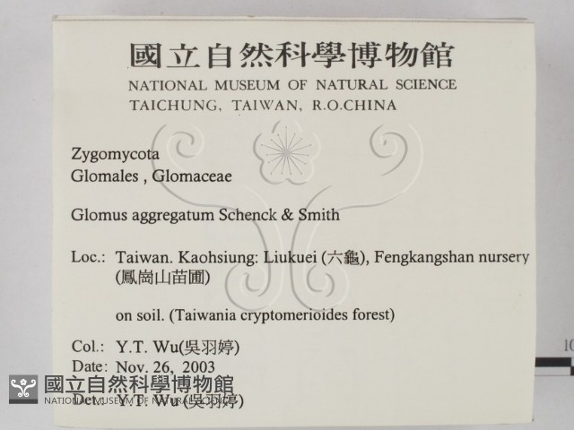 登錄號:F0016872藏品圖，第2張