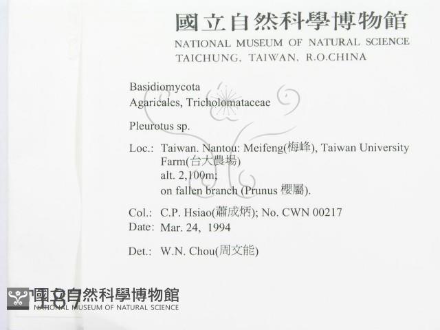 登錄號:F0001872藏品圖，第2張