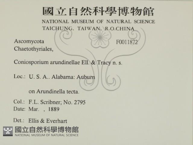 登錄號:F0011872藏品圖，第2張