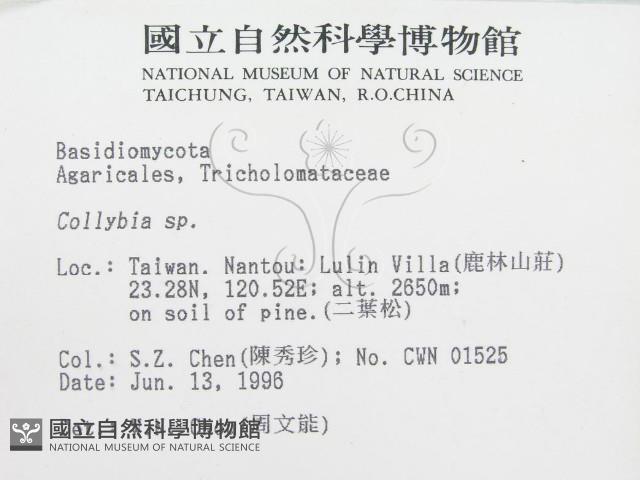 登錄號:F0004872藏品圖，第2張