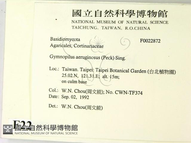 登錄號:F0022872藏品圖，第2張