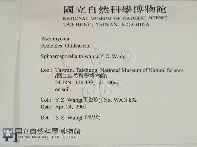 登錄號:F0012872藏品圖，第2張