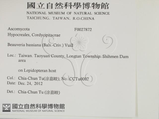 登錄號:F0027872藏品圖，第2張