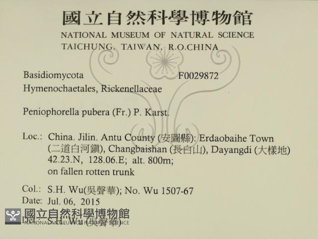 登錄號:F0029872藏品圖，第2張