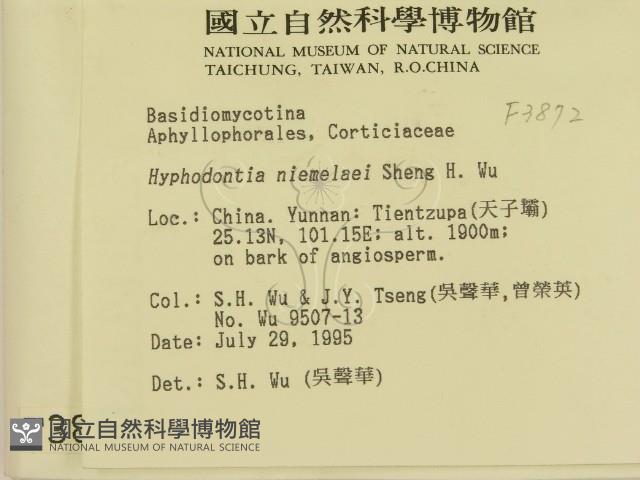 登錄號:F0003872藏品圖，第2張