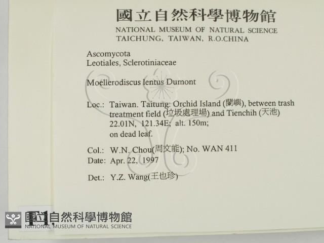 登錄號:F0013872藏品圖，第2張