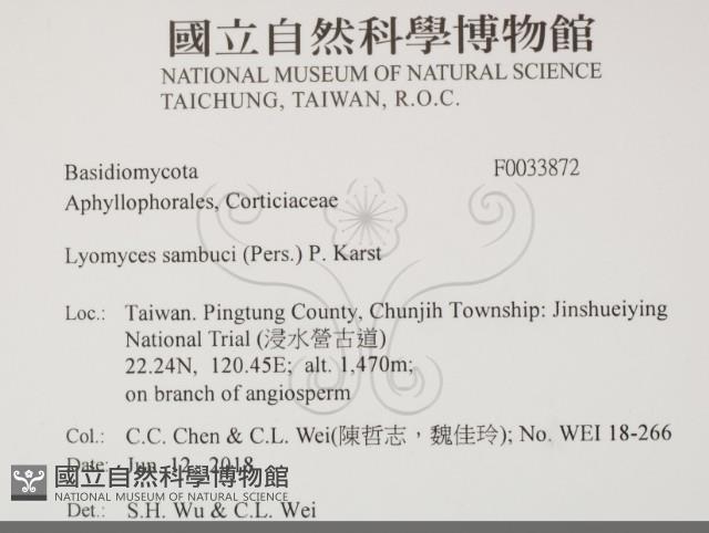 登錄號:F0033872藏品圖，第2張