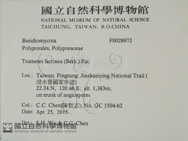 登錄號:F0028972藏品圖，第2張