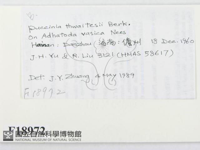 登錄號:F0018972藏品圖，第2張