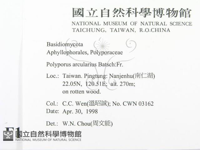 登錄號:F0010972藏品圖，第2張