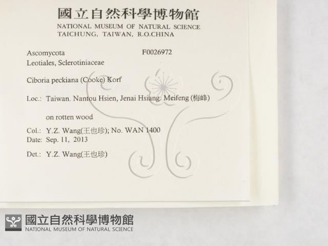 登錄號:F0026972藏品圖，第2張