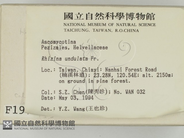 登錄號:F0001972藏品圖，第2張