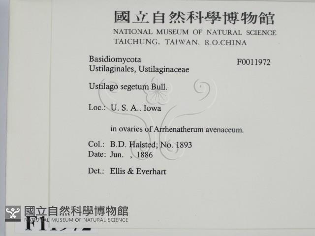 登錄號:F0011972藏品圖，第2張