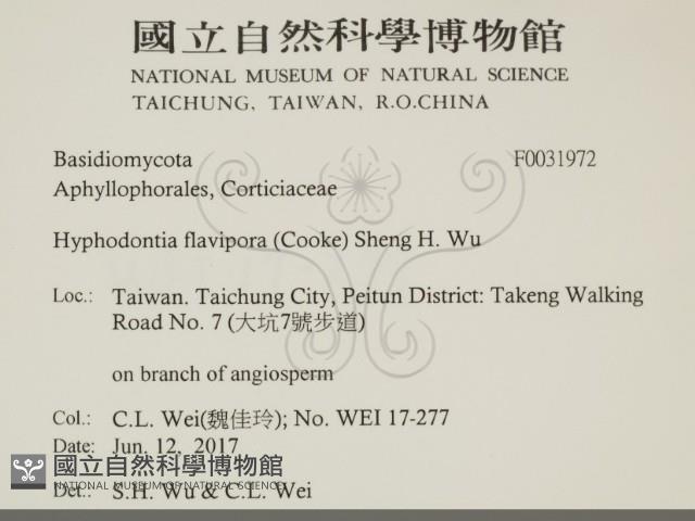登錄號:F0031972藏品圖，第2張