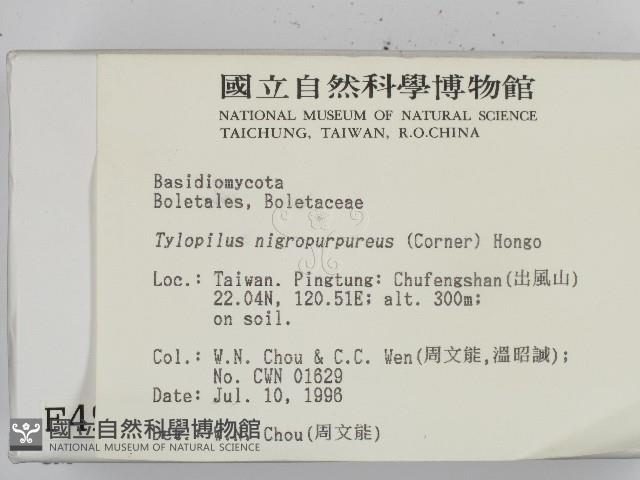 登錄號:F0004972藏品圖，第2張