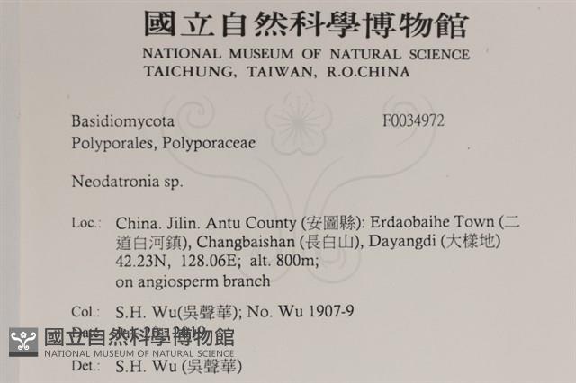 登錄號:F0034972藏品圖，第2張