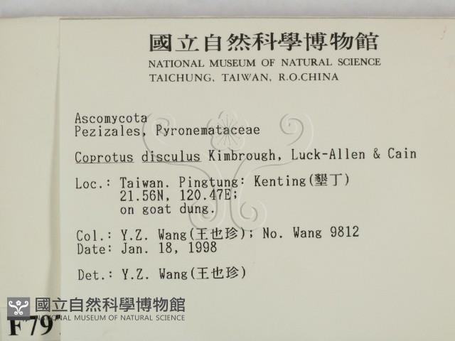 登錄號:F0007972藏品圖，第2張